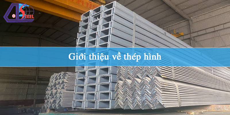 gioi-thieu-ve-thep-hinh